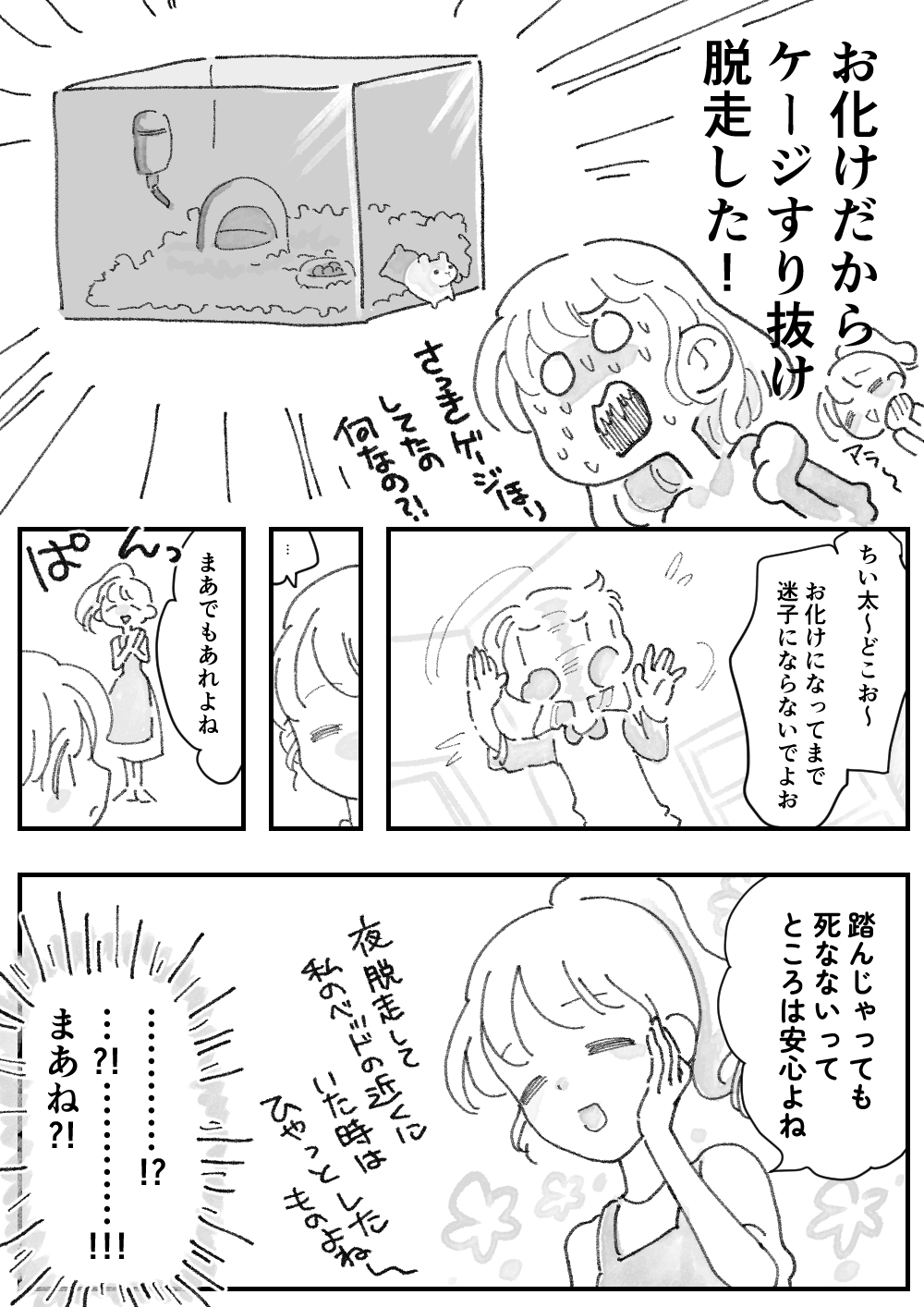 ハムパニック！